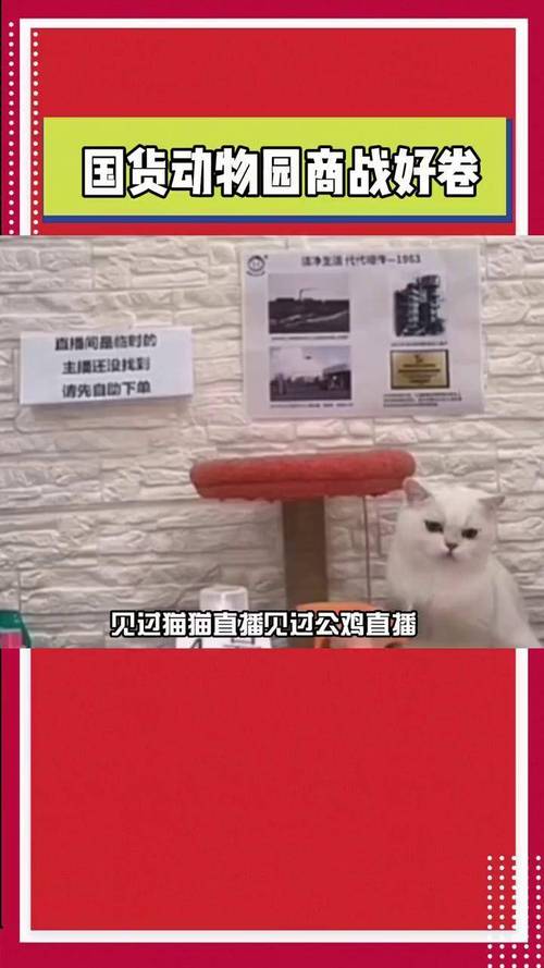 猫猫耶24小时自助下单网站
