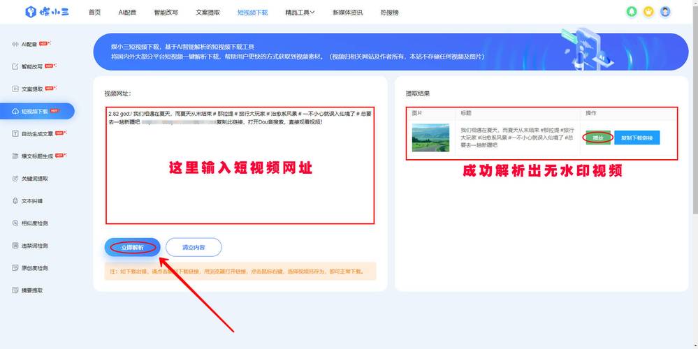 小红书在线解析网站