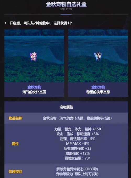 叶子dnf