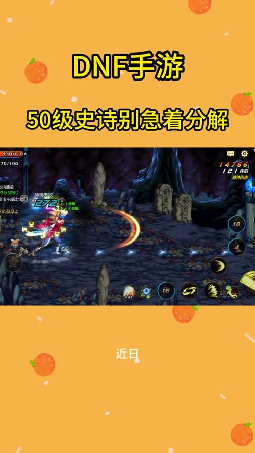 dnf向导