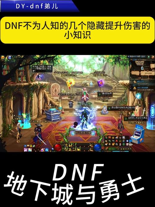 dnf网管