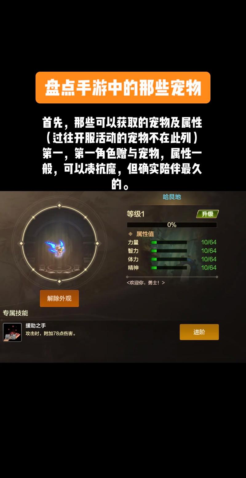 dnf宠物怎么卖