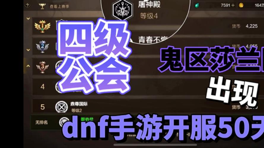 dnf晓公会