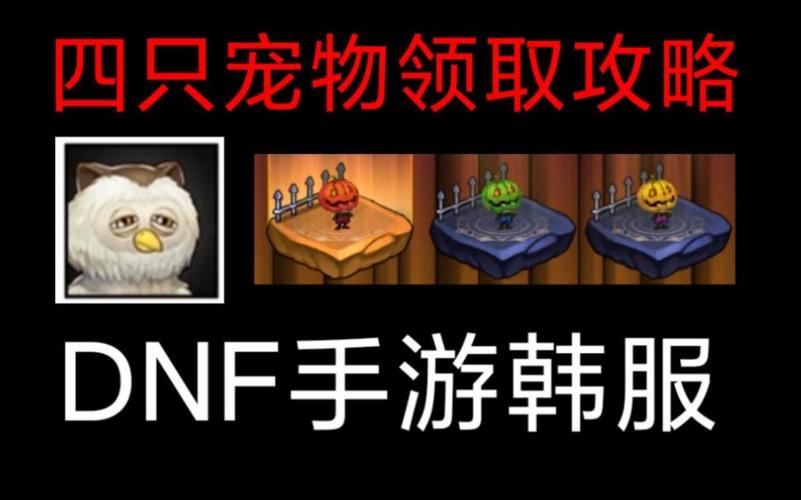 dnf猫头鹰怎么用