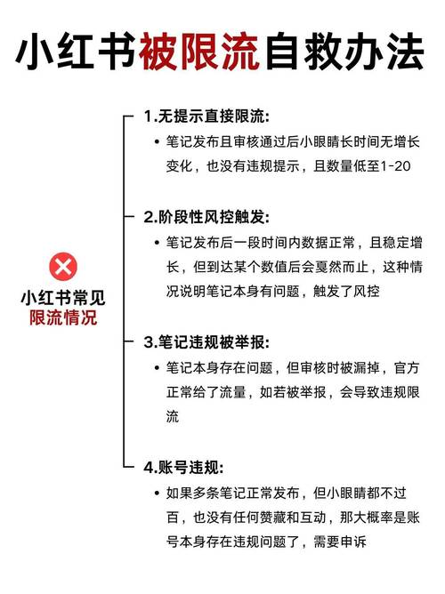 什么是小红薯业务下单24小时最低价?