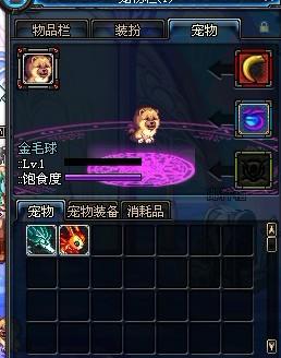 dnf金毛球进化 dnf金毛球进化