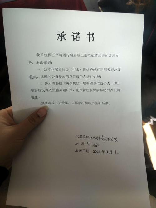 dnf承诺书