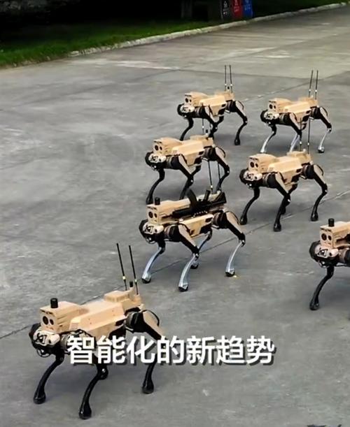 dnf狼群辅助 dnf狼群辅助
