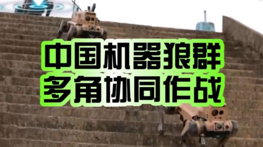 dnf狼群辅助
