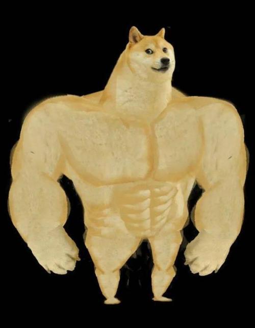 dnf神烦狗