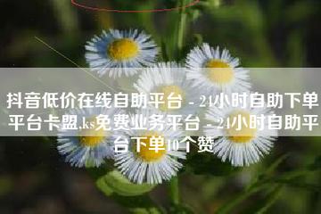 ks免费业务平台便宜,快手业务点赞