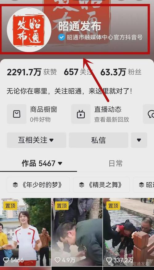 抖音24小时免费下单,KS业务下单平台