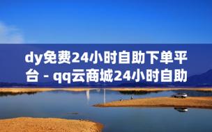 自助下单dy,如何选？