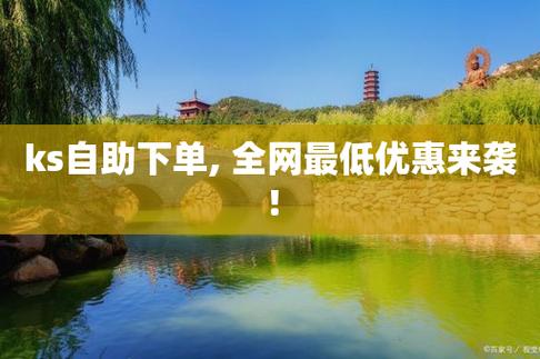 抖音平台自助平台业务下单,抖音KS业务平台自助平台业务下单