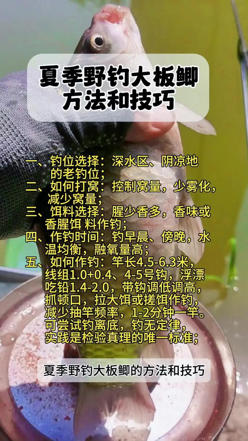 海边怎么钓鱼