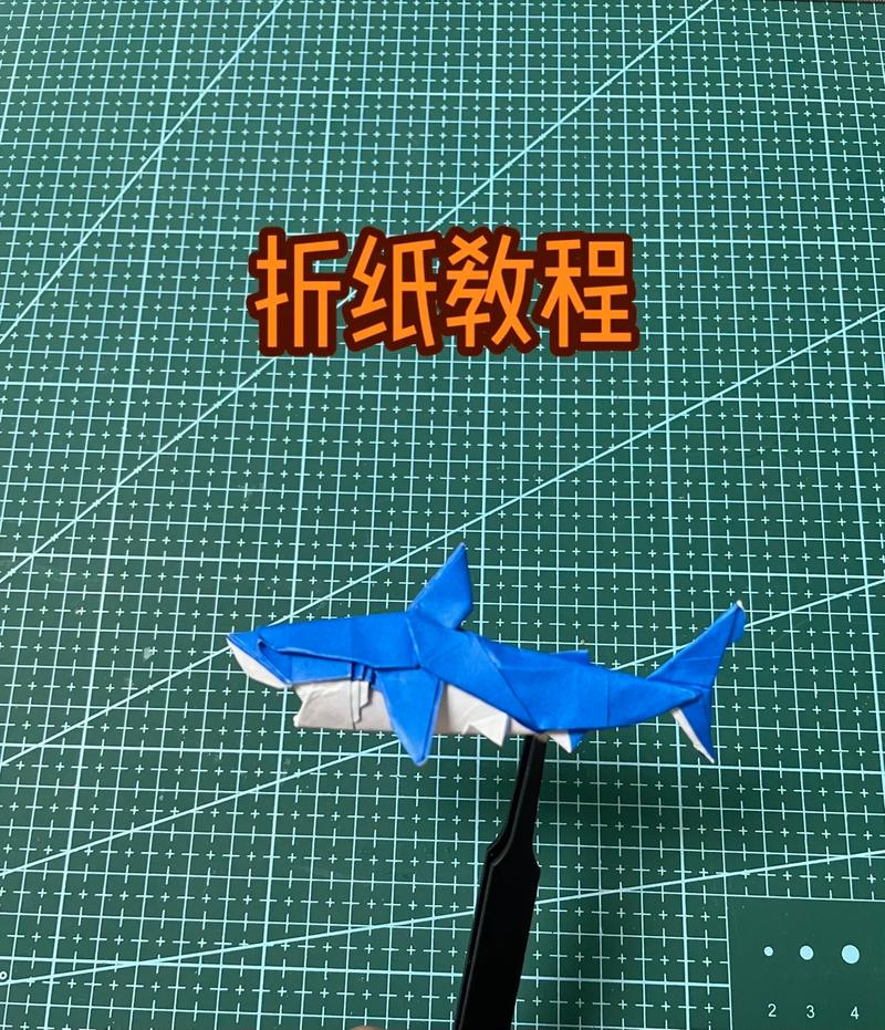 鲨鱼怎么拼