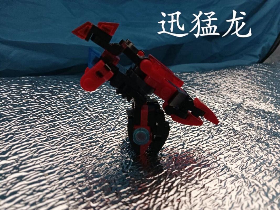 鲨鱼怎么拼