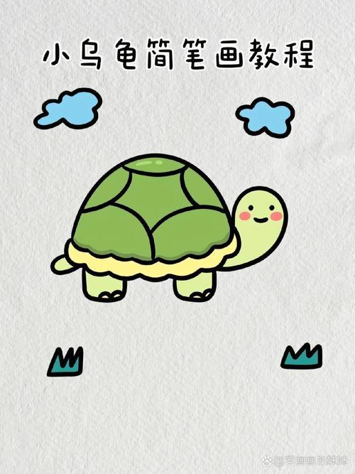 乌龟怎么涂色