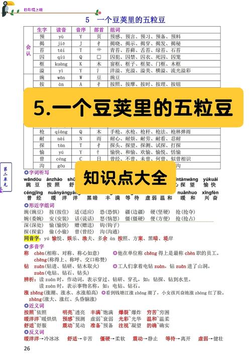 豆怎么组词