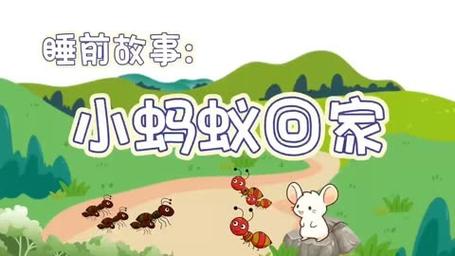 蚂蚁怎么回家