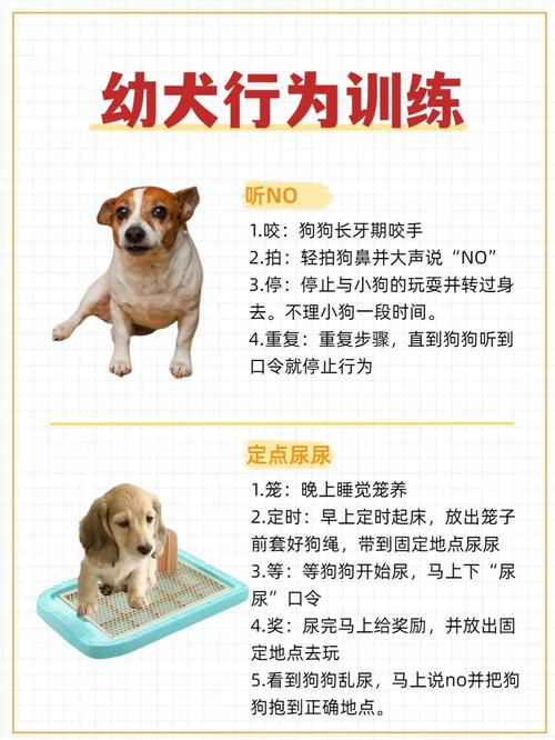 怎么哄狗狗开心