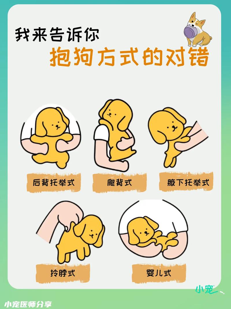 怎么哄狗狗开心