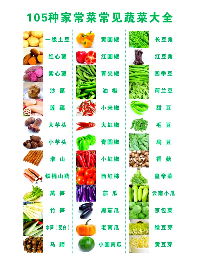 蔬菜是怎么来的