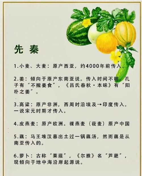 蔬菜是怎么来的