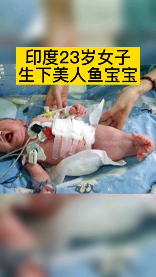 美人鱼怎么生宝宝