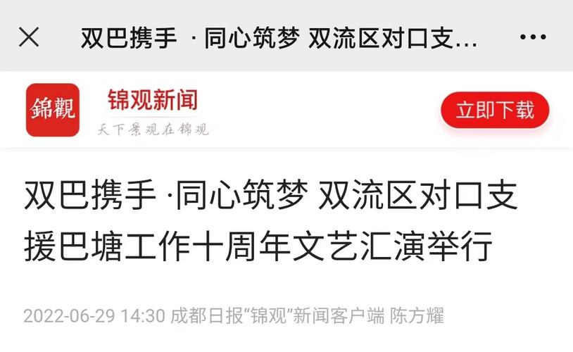 怎么下载弦子软件教程