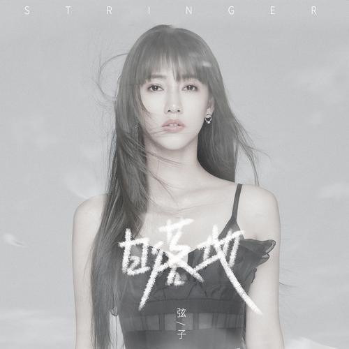 怎么下载弦子软件教程