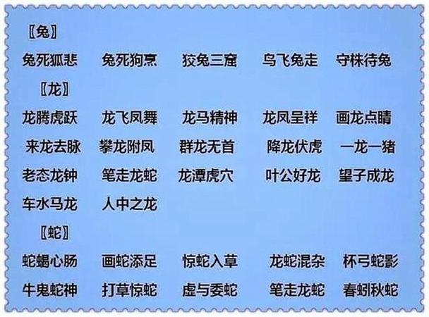 怎么背成语软件教程