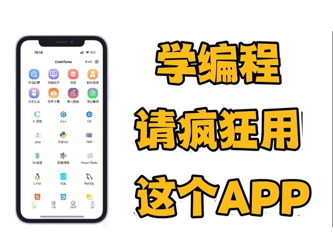 怎么代理编程软件教程