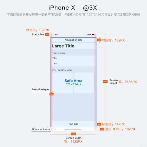 怎么下载圆球软件教程