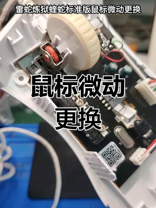 蝰蛇怎么装软件教程
