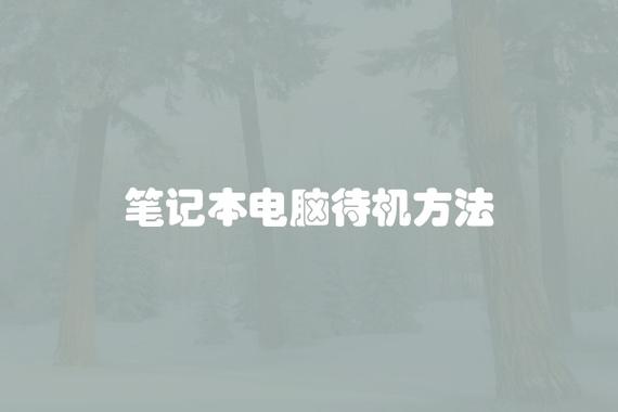 电脑如何进入待机