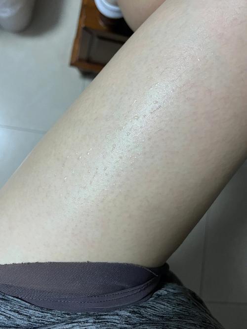 怎么下载帕米拉软件教程