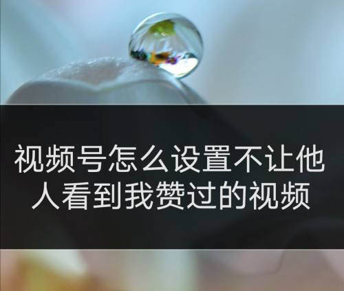 自助下单服务_自助下单专区_下单自助是什么意思