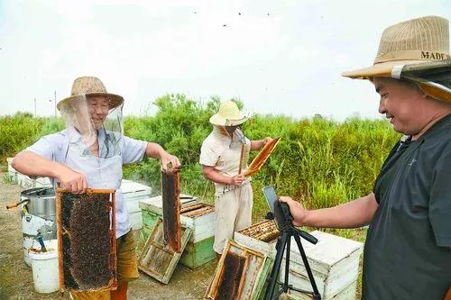 快手点的赞有什么用_快手点赞高的句子_快手点赞