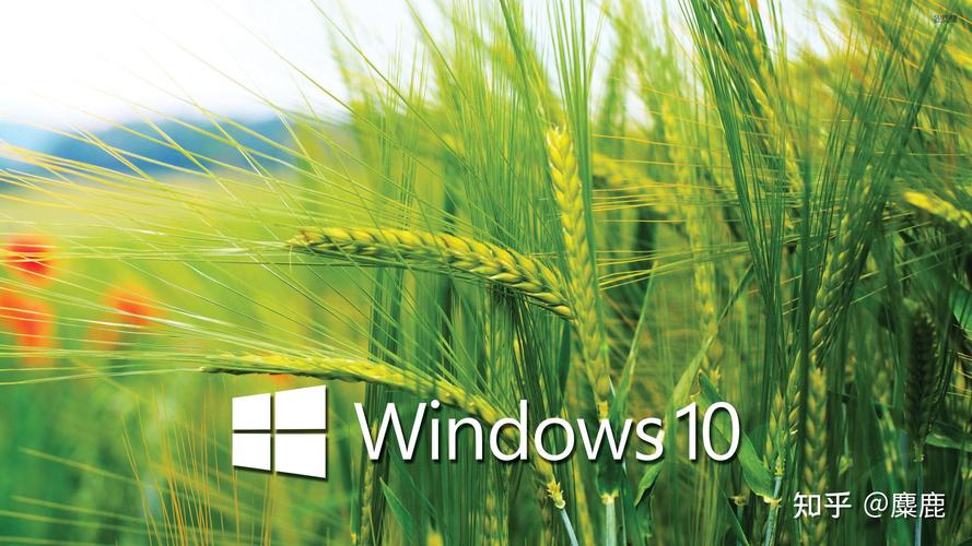 win10开机后桌面卡住_window10开机卡桌面_win10开机桌面卡死