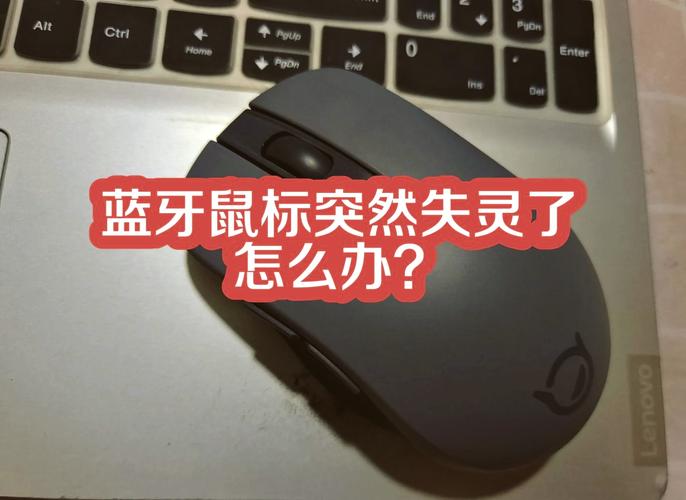 重装后鼠标不能用_重装完鼠标用不了怎么回事_重装电脑后鼠标不能动