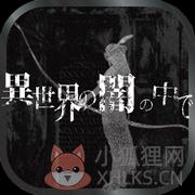 在异世界的黑暗中无限暗之碎片暗币版
