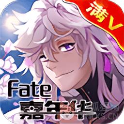 fate嘉年华bt变态版