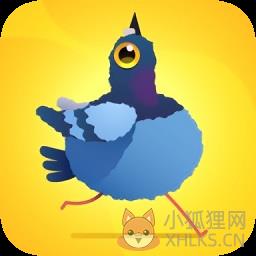 疯狂的鸽子全解锁版