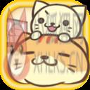 猫咪的毛中文版