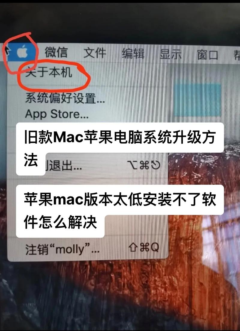 苹果电脑如何升级
