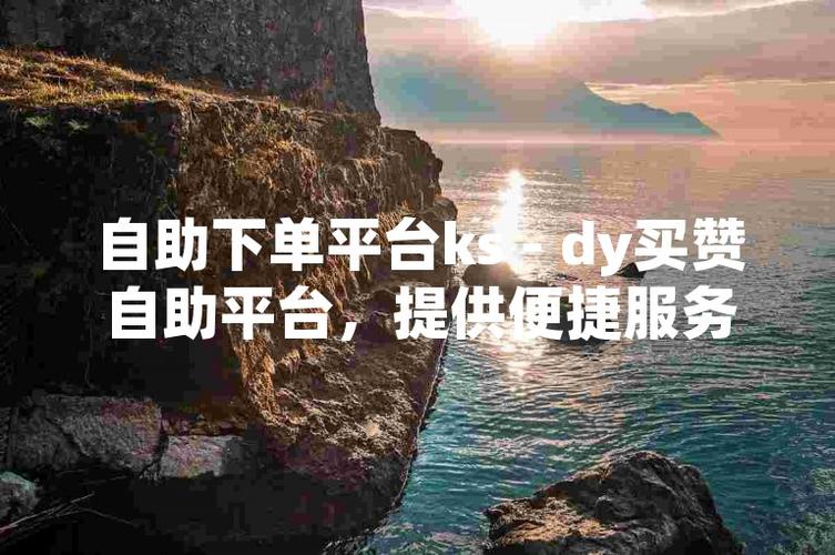 DY自助平台业务下单真人,DY自助平台登录入口