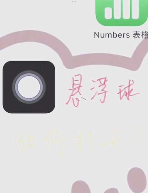 来球网app苹果手机如何安装