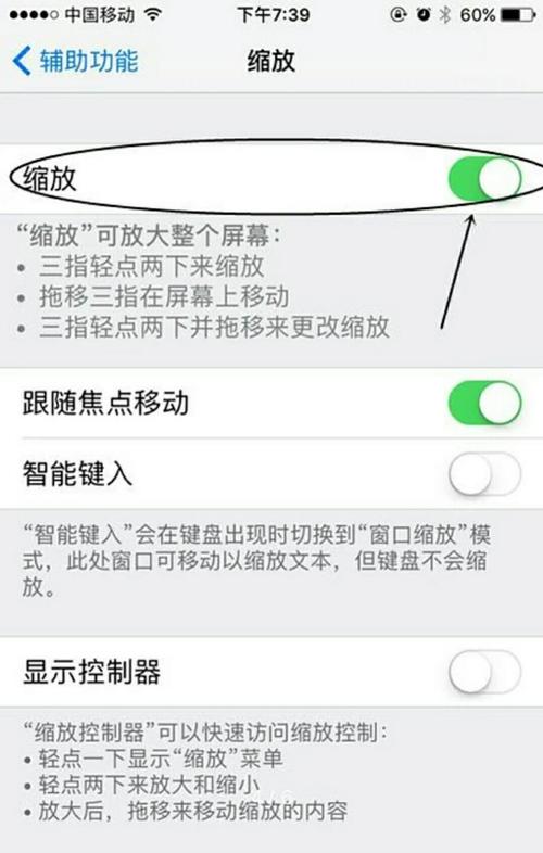 苹果手机屏幕缩放功能如何开启