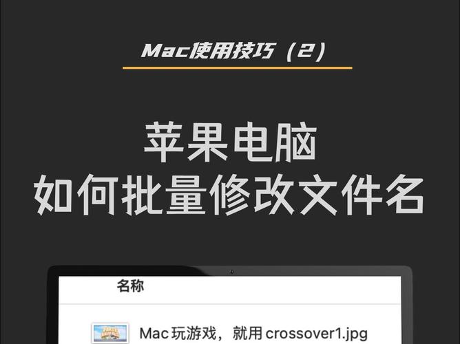 mac电脑如何管理文件